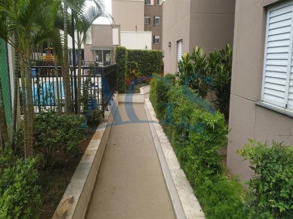 Imagem Apartamento com 3 Quartos à Venda, 54 m² em Tatuape - São Paulo Imagem Apartamento com 3 Quartos à Venda, 54 m² em Tatuape - São Paulo