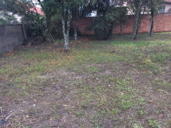 Imagem Terreno à Venda, 800 m² em Centro - Irati Imagem Terreno à Venda, 800 m² em Centro - Irati