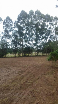 Imagem Imóvel com 1 Quarto à Venda, 8.177 m² em Tijuco Preto - Quadra