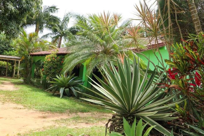Imagem Casa com 4 Quartos à Venda, 4.672 m² em águas Claras - Viamão Imagem Casa com 4 Quartos à Venda, 4.672 m² em águas Claras - Viamão