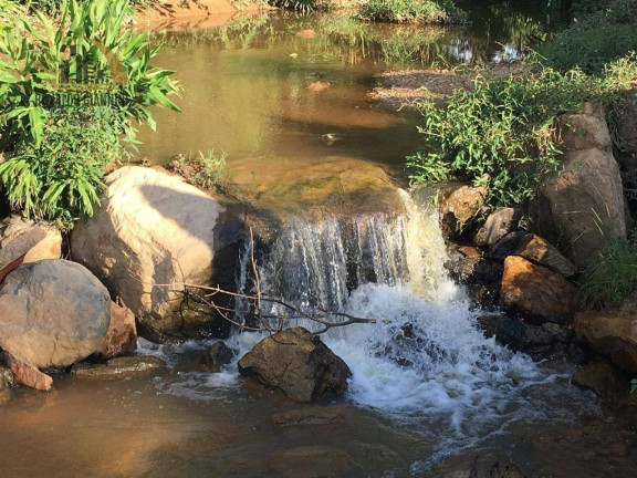 Imagem Fazenda à Venda, 968.000 m² em São Luis - Jacutinga