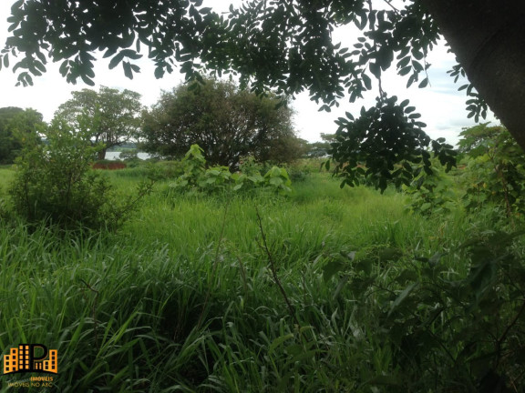 Imagem Imóvel à Venda, 98.000 m² em Nova Aliança - Buritama Imagem Imóvel à Venda, 98.000 m² em Nova Aliança - Buritama