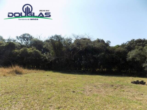 Imagem Chácara à Venda, 20.000 m² em águas Claras - Viamão