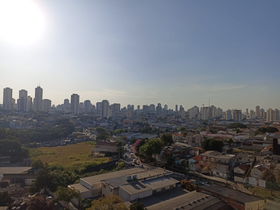 Imagem Apartamento com 2 Quartos à Venda, 50 m² em Jardim Previdencia - São Paulo Imagem Apartamento com 2 Quartos à Venda, 50 m² em Jardim Previdencia - São Paulo