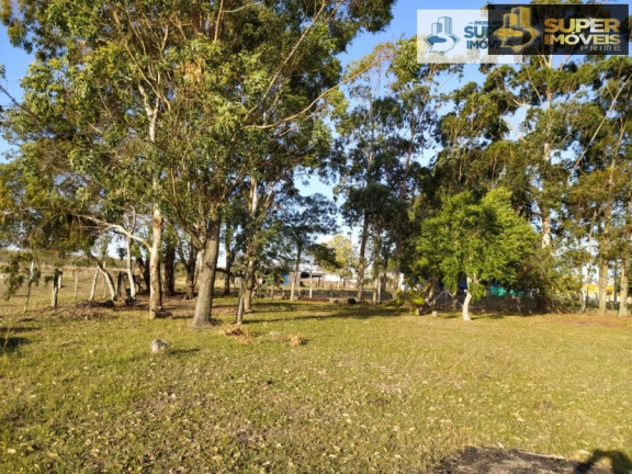 Imagem Imóvel com 2 Quartos à Venda, 60.000 m² em Quinta - Rio Grande