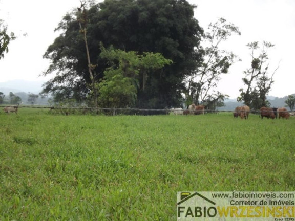 Imagem Fazenda à Venda, 1.510.000 m² em Centro - Garuva