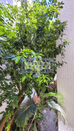 Imagem Apartamento com 1 Quarto à Venda, 50 m² em Leblon - Rio De Janeiro Imagem Apartamento com 1 Quarto à Venda, 50 m² em Leblon - Rio De Janeiro