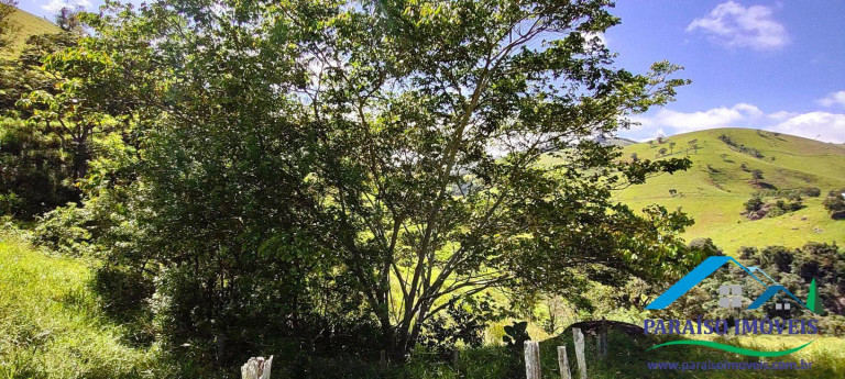 Imagem Chácara à Venda, 20 m² em Centro - Paraisópolis