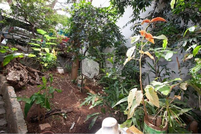 Imagem Casa com 3 Quartos à Venda, 154 m² em Bela Vista - São Paulo Imagem Casa com 3 Quartos à Venda, 154 m² em Bela Vista - São Paulo