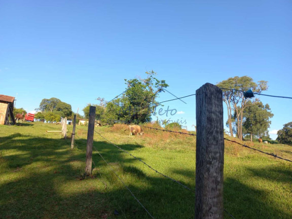 Imagem Fazenda à Venda, 65.340 m² em Bonfim - Pirassununga Imagem Fazenda à Venda, 65.340 m² em Bonfim - Pirassununga