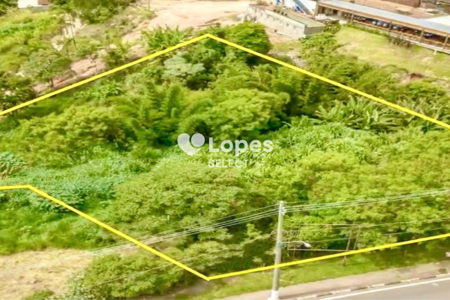 Imagem Terreno à Venda, 3.491 m² em Bosque - Vinhedo Imagem Terreno à Venda, 3.491 m² em Bosque - Vinhedo