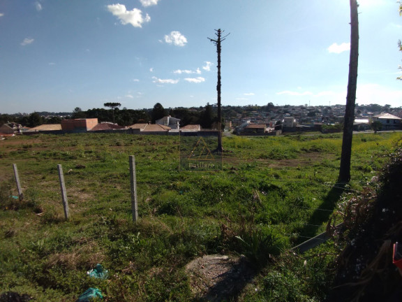 Imagem Terreno à Venda, 9.139 m² em Campo Pequeno - Colombo Imagem Terreno à Venda, 9.139 m² em Campo Pequeno - Colombo