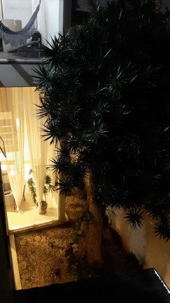 Imagem Sobrado com 3 Quartos à Venda, 340 m² em Cursino - Sp Imagem Sobrado com 3 Quartos à Venda, 340 m² em Cursino - Sp