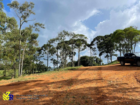 Imagem Chácara à Venda, 41 m² em Pitangueiras - Pedra Bela Imagem Chácara à Venda, 41 m² em Pitangueiras - Pedra Bela