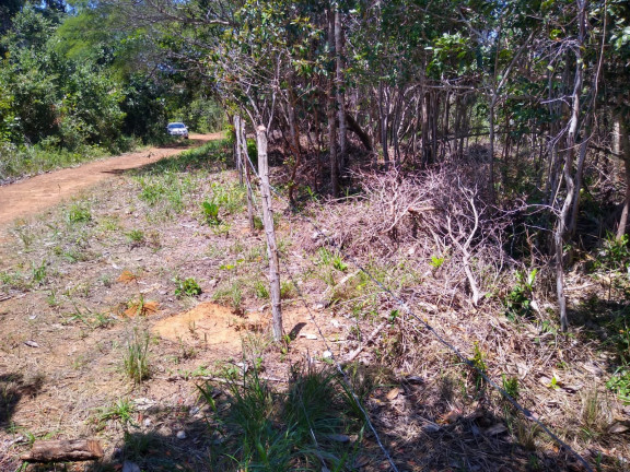 Imagem Terreno à Venda, 1.640 m² em Praia Do Forte - Mata De São João Imagem Terreno à Venda, 1.640 m² em Praia Do Forte - Mata De São João