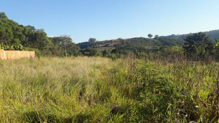Terreno à Venda, 1.010 m² em Poço - Piedade