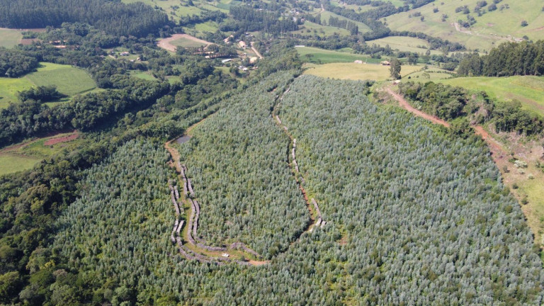 Imagem Terreno à Venda, 170.000 m² em Interior - Jaborá Imagem Terreno à Venda, 170.000 m² em Interior - Jaborá