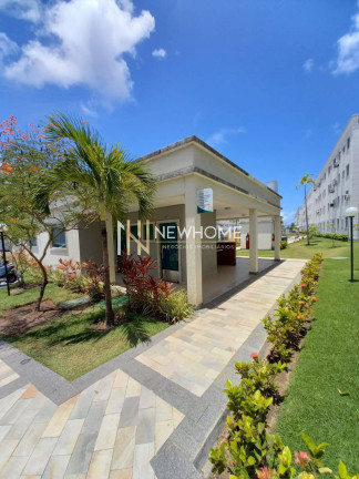 Imagem Apartamento com 2 Quartos para Alugar, 45 m² em Piedade - Jaboatão Dos Guararapes Imagem Apartamento com 2 Quartos para Alugar, 45 m² em Piedade - Jaboatão Dos Guararapes