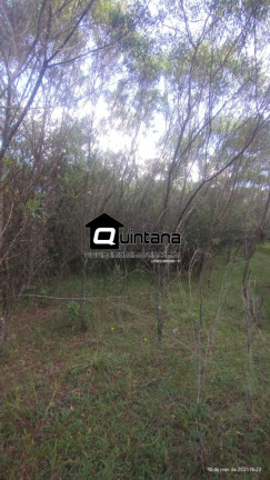 Imagem Imóvel com 2 Quartos à Venda, 700.000 m² em Centro - Herval Imagem Imóvel com 2 Quartos à Venda, 700.000 m² em Centro - Herval
