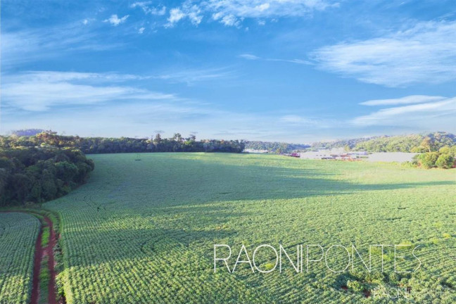 Imagem Fazenda à Venda, 312 m² em Centro - Marau Imagem Fazenda à Venda, 312 m² em Centro - Marau