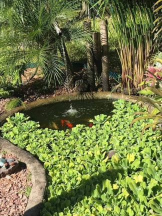 Imagem Casa com 2 Quartos à Venda, em águas Claras - Viamão Imagem Casa com 2 Quartos à Venda, em águas Claras - Viamão