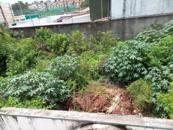 Imagem Terreno à Venda, 429 m² em Sapiranga - Fortaleza