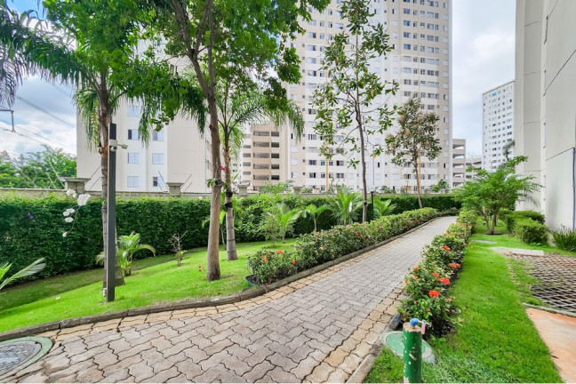 Imagem Apartamento com 2 Quartos à Venda, 44 m² em Jardim íris - São Paulo Imagem Apartamento com 2 Quartos à Venda, 44 m² em Jardim íris - São Paulo