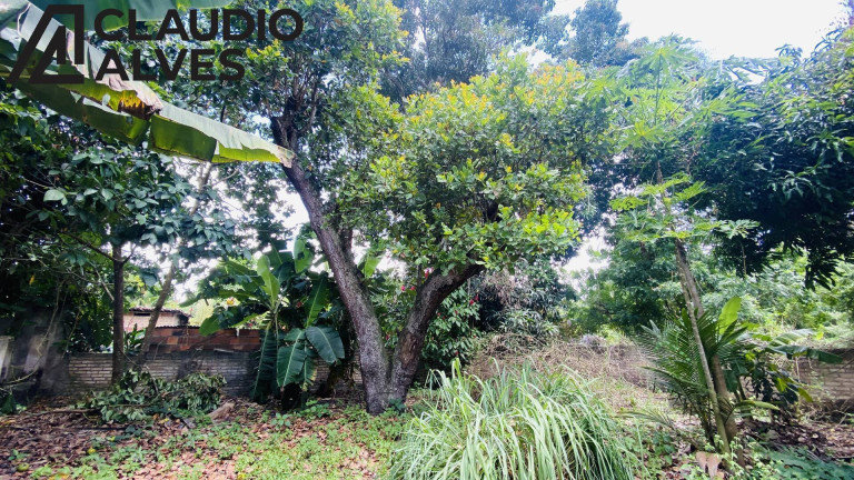 Imagem Terreno à Venda, 2 m² em Chaparral - Feira De Santana