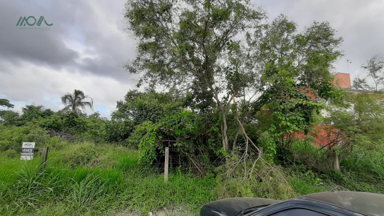 Imagem Terreno à Venda, 912 m² em Figueira Do Pontal - Itapoá Imagem Terreno à Venda, 912 m² em Figueira Do Pontal - Itapoá
