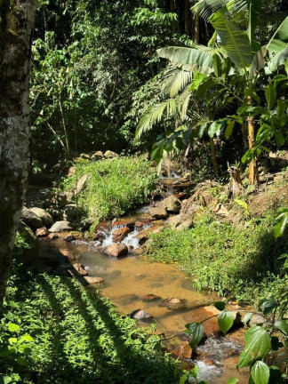 Imagem Chácara com 5 Quartos à Venda, 300 m² em Pedra De amolar - Corupá
