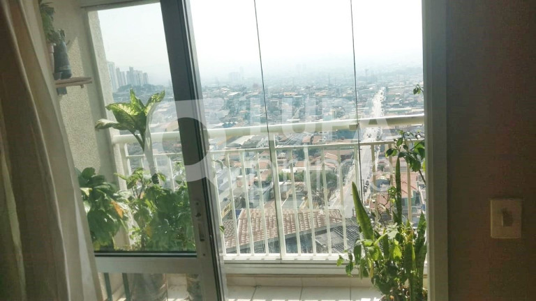 Imagem Apartamento com 3 Quartos à Venda, 70 m² em Vila Maria Alta - São Paulo Imagem Apartamento com 3 Quartos à Venda, 70 m² em Vila Maria Alta - São Paulo