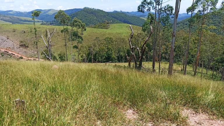 Imagem Chácara à Venda, 200 m² em Centro - Paraibuna
