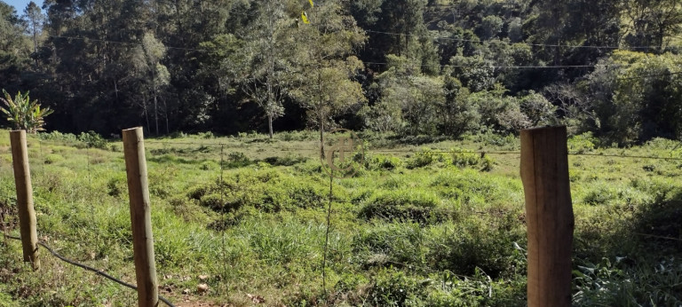 Imagem Chácara com 3 Quartos à Venda, em Curralinho - Lagoinha Imagem Chácara com 3 Quartos à Venda, em Curralinho - Lagoinha