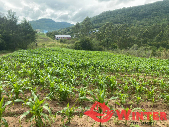 Imagem Chácara à Venda, 63.000 m² em São Roque - Feliz Imagem Chácara à Venda, 63.000 m² em São Roque - Feliz