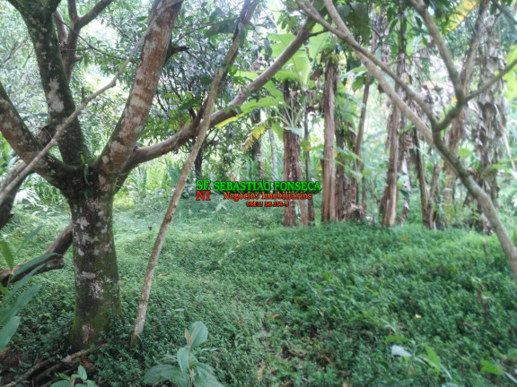 Imagem Chácara à Venda, 5.000 m² em Centro - Monteiro Lobato Imagem Chácara à Venda, 5.000 m² em Centro - Monteiro Lobato