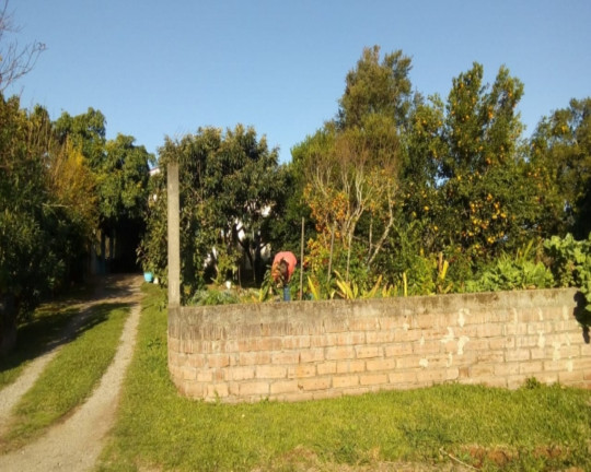 Imagem Imóvel com 3 Quartos à Venda, em Vale Verde - Nova Petrópolis Imagem Imóvel com 3 Quartos à Venda, em Vale Verde - Nova Petrópolis