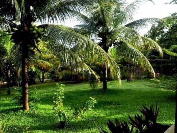 Imagem Fazenda à Venda, 204 m² em Barra Do Pojuca - Camaçari Imagem Fazenda à Venda, 204 m² em Barra Do Pojuca - Camaçari