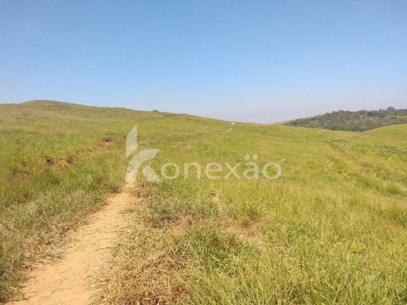 Imagem Fazenda à Venda, 150 m² em Marambaia - Caçapava Imagem Fazenda à Venda, 150 m² em Marambaia - Caçapava