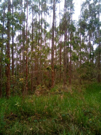 Imagem Terreno à Venda, 1 m² em Parque Santo Antônio - Jacareí Imagem Terreno à Venda, 1 m² em Parque Santo Antônio - Jacareí