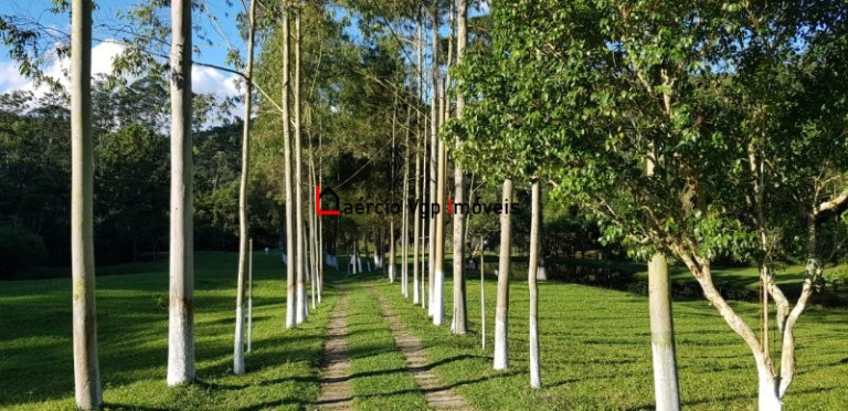 Imagem Imóvel com 2 Quartos à Venda, 133.100 m² em Carmo Messias - Ibiúna Imagem Imóvel com 2 Quartos à Venda, 133.100 m² em Carmo Messias - Ibiúna
