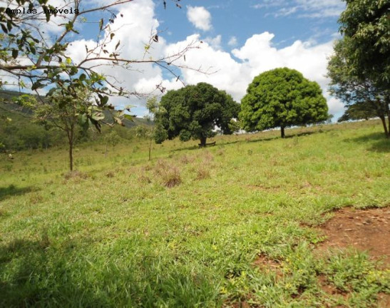 Imagem Fazenda à Venda, 164 m² em Monjolos área Rural - Monjolos