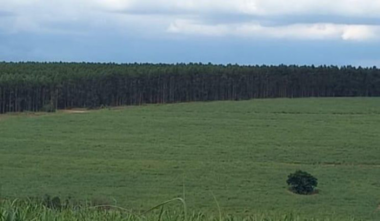 Imagem Fazenda à Venda, 97 m² em Rural - Piracicaba