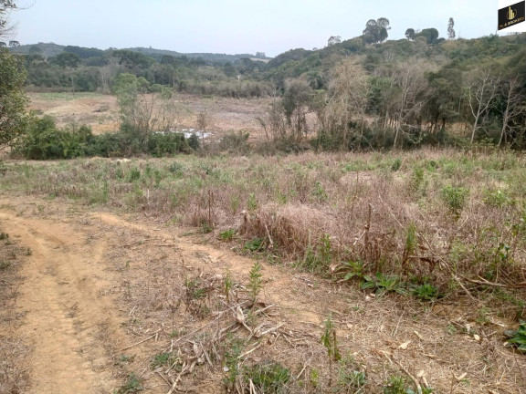 Imagem Imóvel à Venda, 96.800 m² em Colonia Marcelino - São José Dos Pinhais Imagem Imóvel à Venda, 96.800 m² em Colonia Marcelino - São José Dos Pinhais