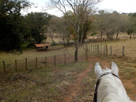 Imagem Chácara com 3 Quartos à Venda, 532 m² em Zona Rural - Cambuí Imagem Chácara com 3 Quartos à Venda, 532 m² em Zona Rural - Cambuí