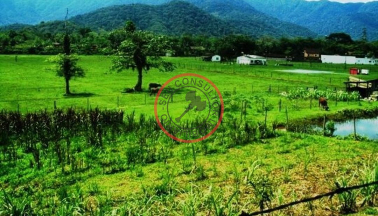 Fazenda à Venda, 55 m² em Camburi - São Sebastião