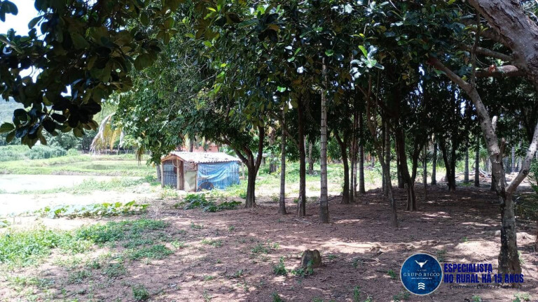 Imagem Chácara à Venda, 20 m² em Zona Rural - Iporá Imagem Chácara à Venda, 20 m² em Zona Rural - Iporá
