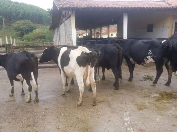 Fazenda à Venda, 500 m² em Itapeva - Paraibuna