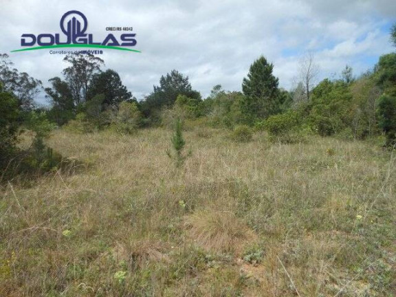 Imagem Imóvel Comercial à Venda, 3.640 m² em Morro Grande - Viamão