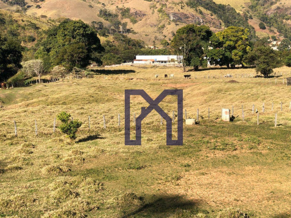 Imagem Terreno à Venda, 18.000 m² em Morro Grande - Itajubá