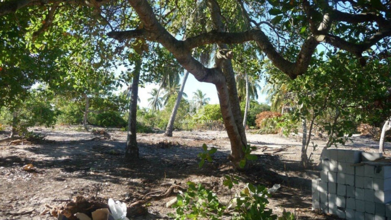 Imagem Terreno à Venda, 2.177 m² em Subaúma - Subaúma Imagem Terreno à Venda, 2.177 m² em Subaúma - Subaúma